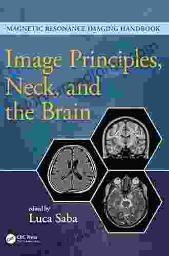 Image Principles Neck And The Brain (Magnetic Resonance Imaging Handbook)