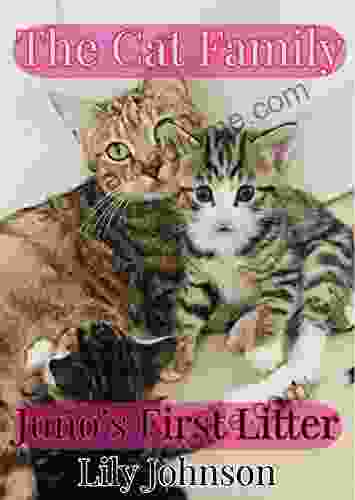 The Cat Family Picture Book: Juno s First Litter Super Adorable Cute Kittens (Our Family Of Cats 3)