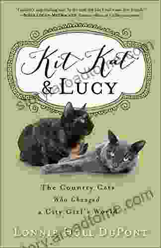 Kit Kat And Lucy: The Country Cats Who Changed A City Girl S World