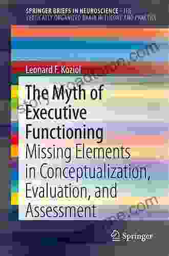 The Myth Of Executive Functioning: Missing Elements In Conceptualization Evaluation And Assessment (SpringerBriefs In Neuroscience)