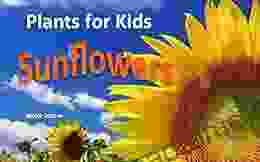 Plants For Kids: Sunflowers Children S Picture For Kids Science And Nature For 1st And 2nd Graders: Full Size Amazing Photos And Fun Facts Home Schooling Pre Schooling Kindergarten