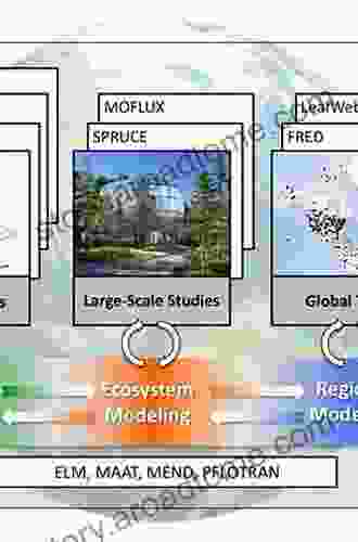 TERRA 1: Understanding The Terrestrial Environment: The Role of Earth Observations from Space