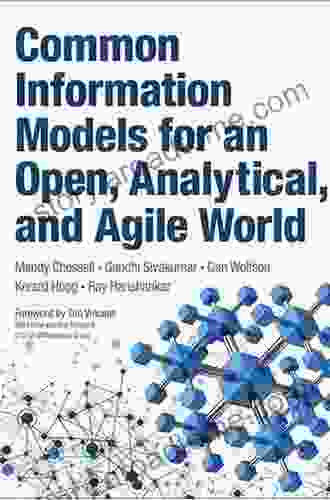 Common Information Models For An Open Analytical And Agile World (IBM Press)