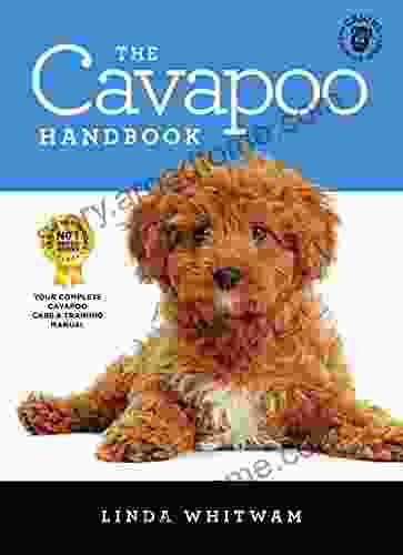 The Cavapoo Handbook: The Essential Guide for New Prospective Cavapoo Owners (Canine Handbooks)