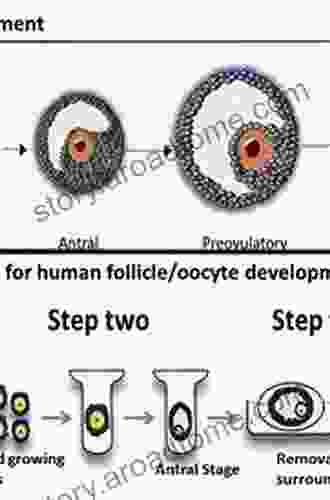 Development Of In Vitro Maturation For Human Oocytes: Natural And Mild Approaches To Clinical Infertility Treatment