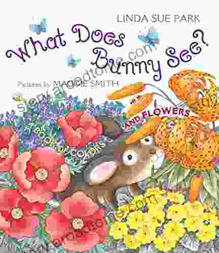 What Does Bunny See?: A Of Colors And Flowers